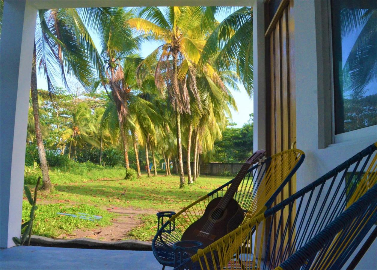 Hotel Pura Natura Beachfront Tortuguero Exterior photo