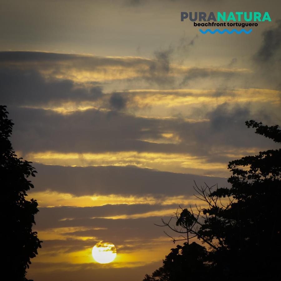 Hotel Pura Natura Beachfront Tortuguero Exterior photo