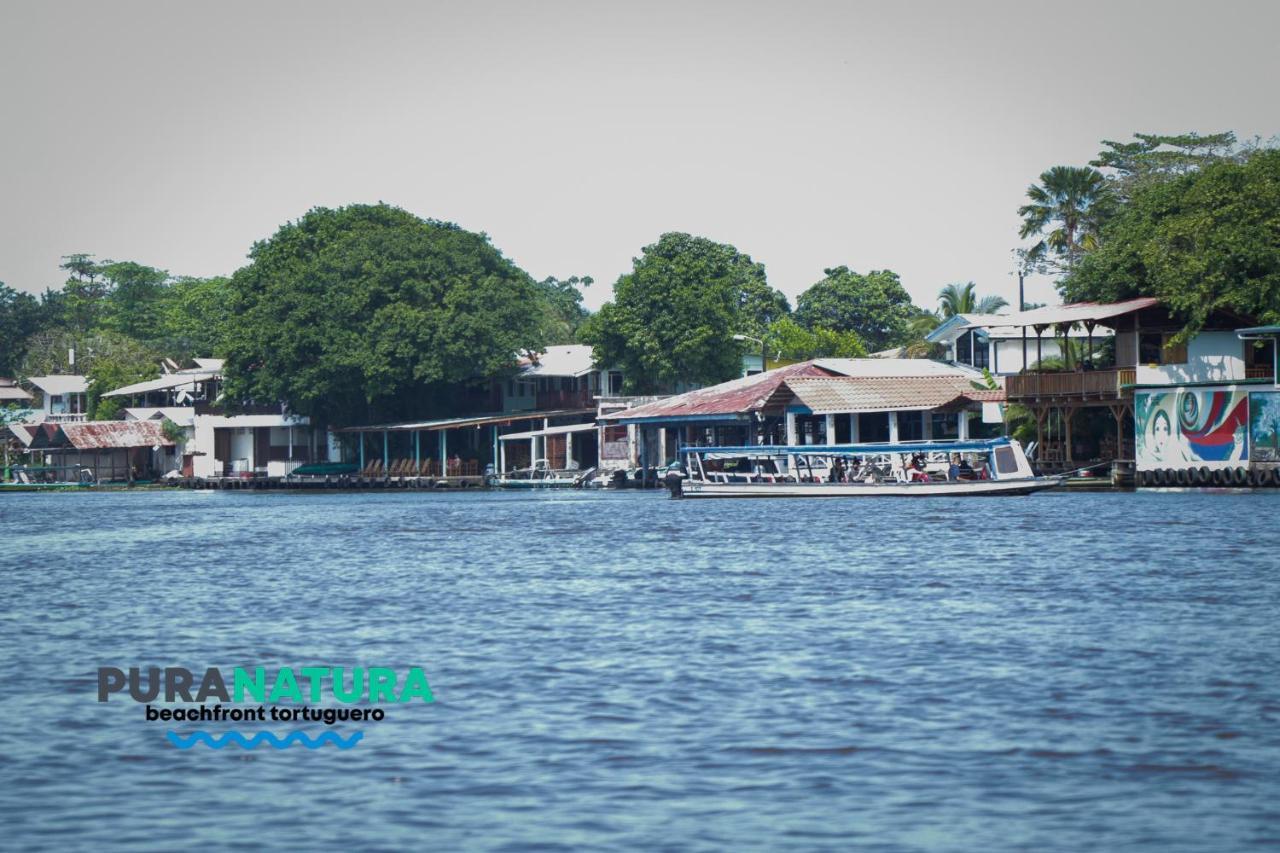 Hotel Pura Natura Beachfront Tortuguero Exterior photo