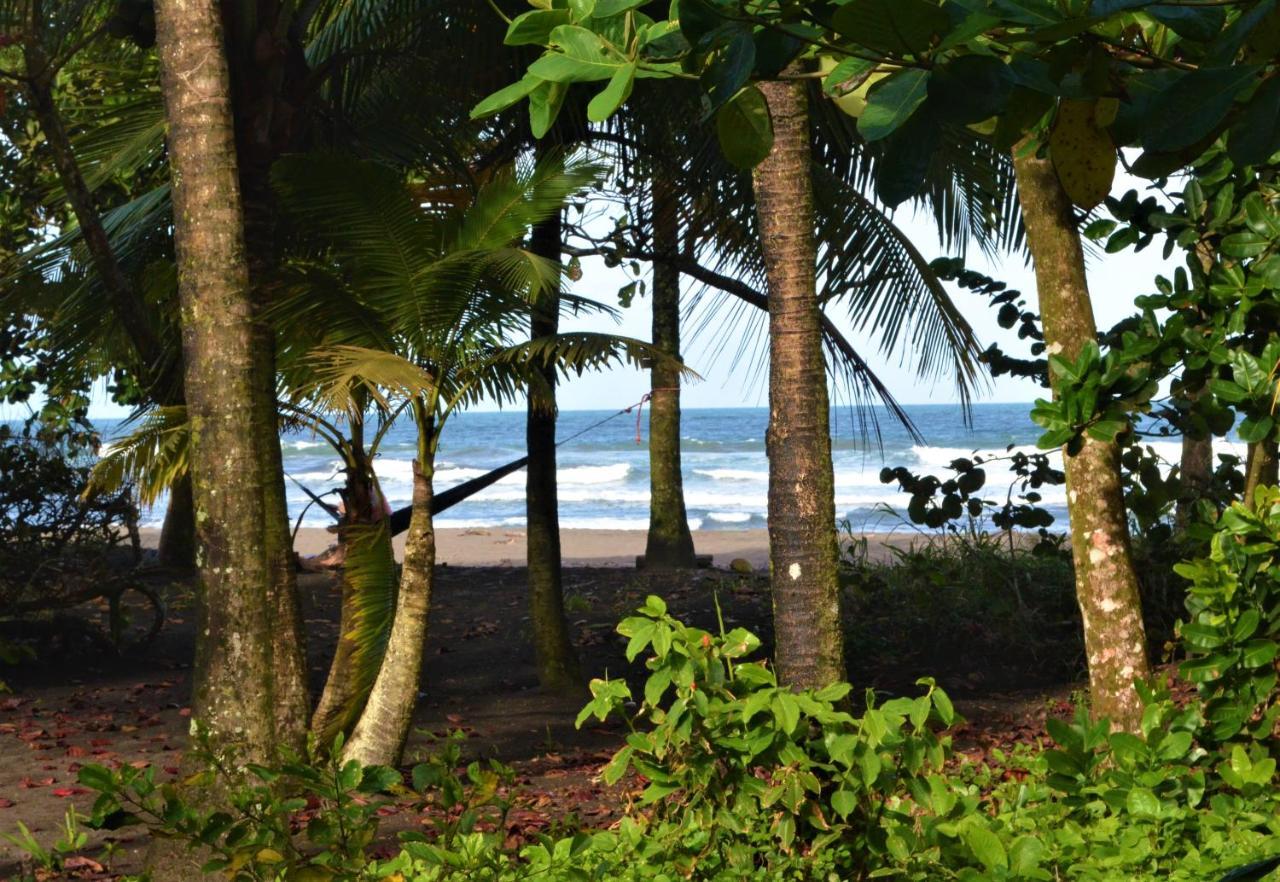Hotel Pura Natura Beachfront Tortuguero Exterior photo