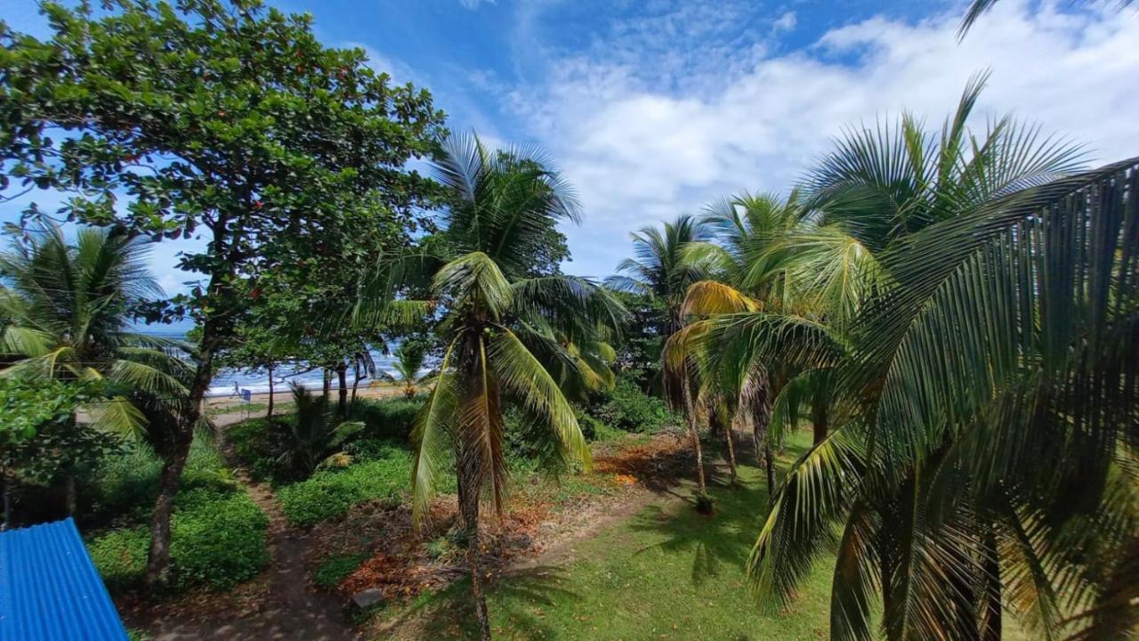 Hotel Pura Natura Beachfront Tortuguero Exterior photo