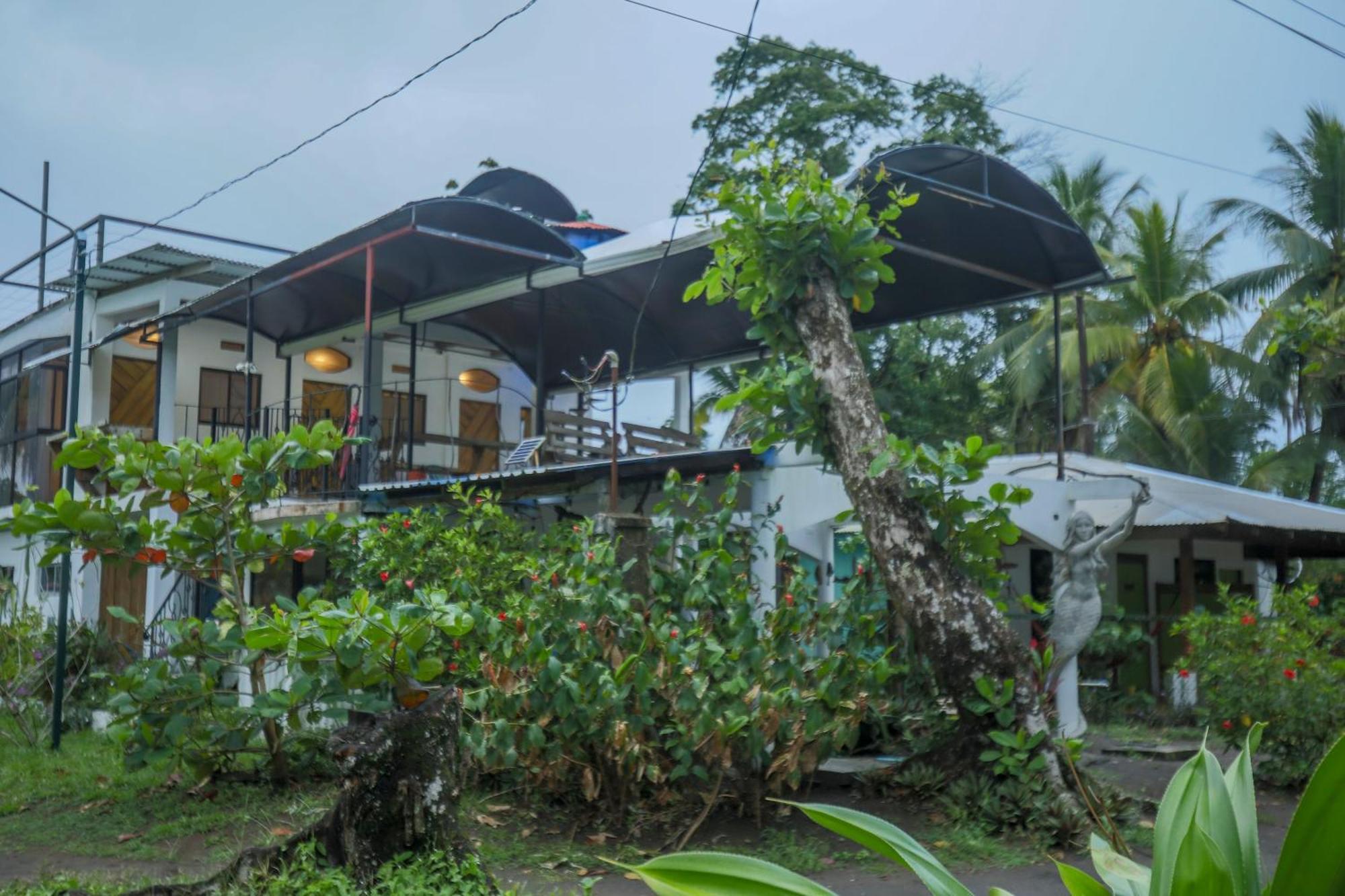 Hotel Pura Natura Beachfront Tortuguero Exterior photo