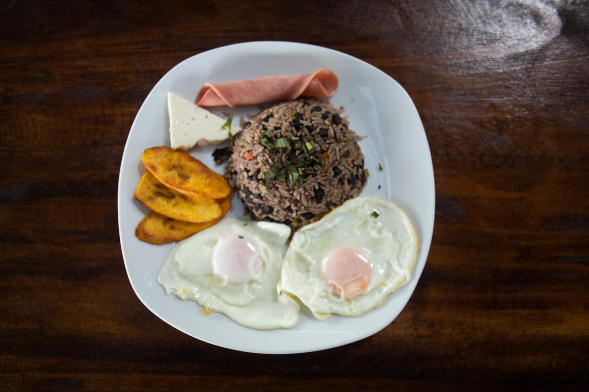 Hotel Pura Natura Beachfront Tortuguero Exterior photo