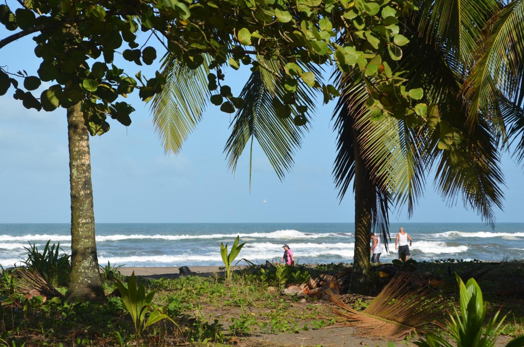 Hotel Pura Natura Beachfront Tortuguero Exterior photo